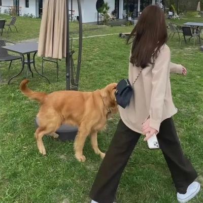 鬼宫