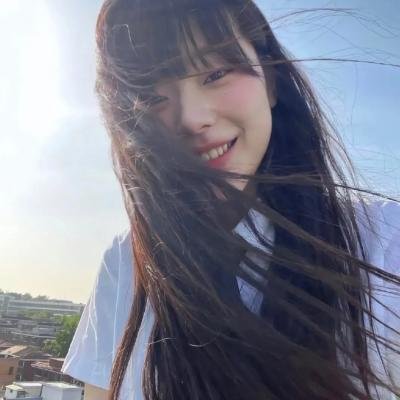 履历